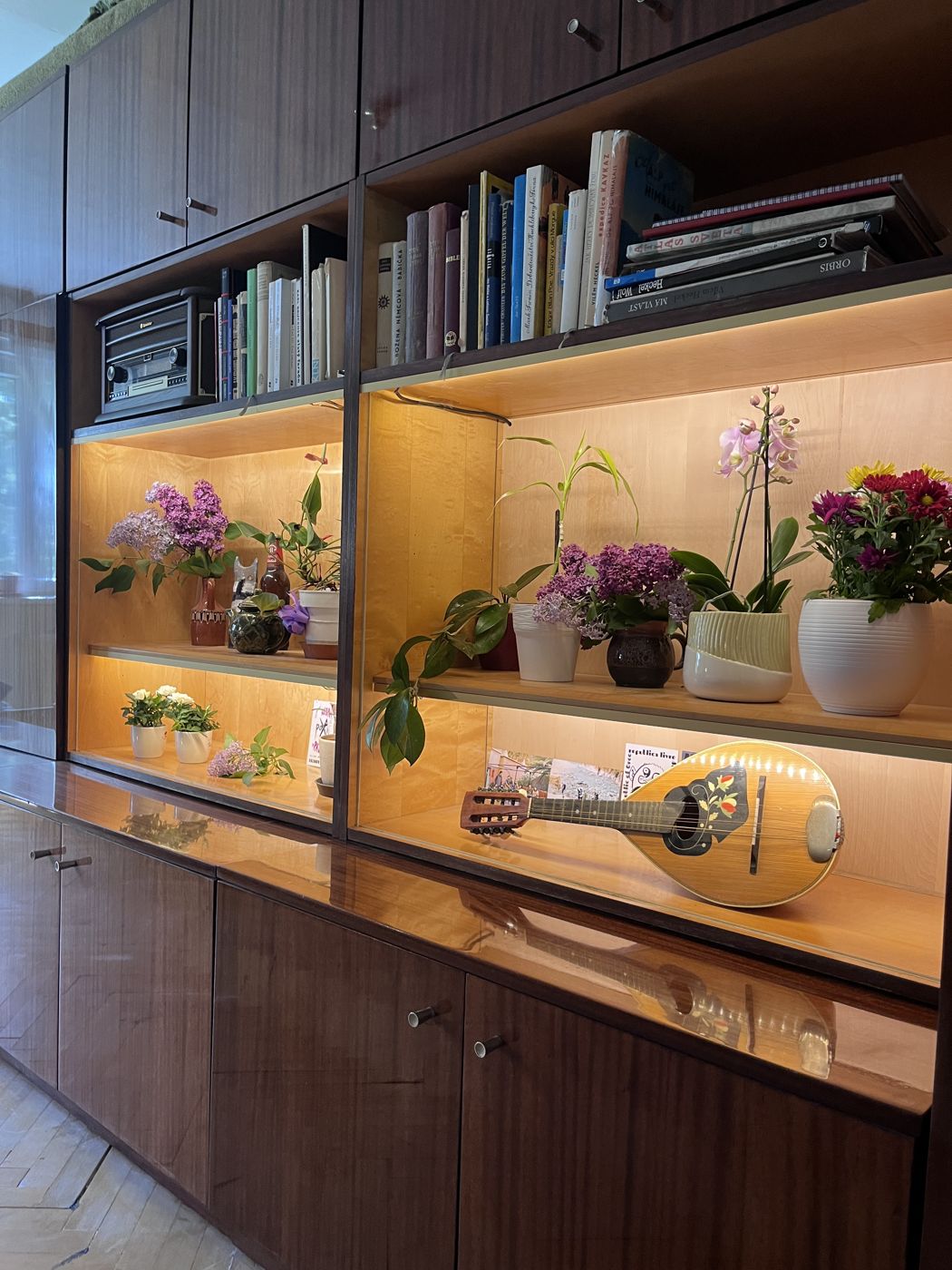 Circadian cabinet